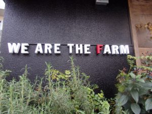 ケールが食べれて健康的に☆WE ARE THE FARM　麻布十番！！
