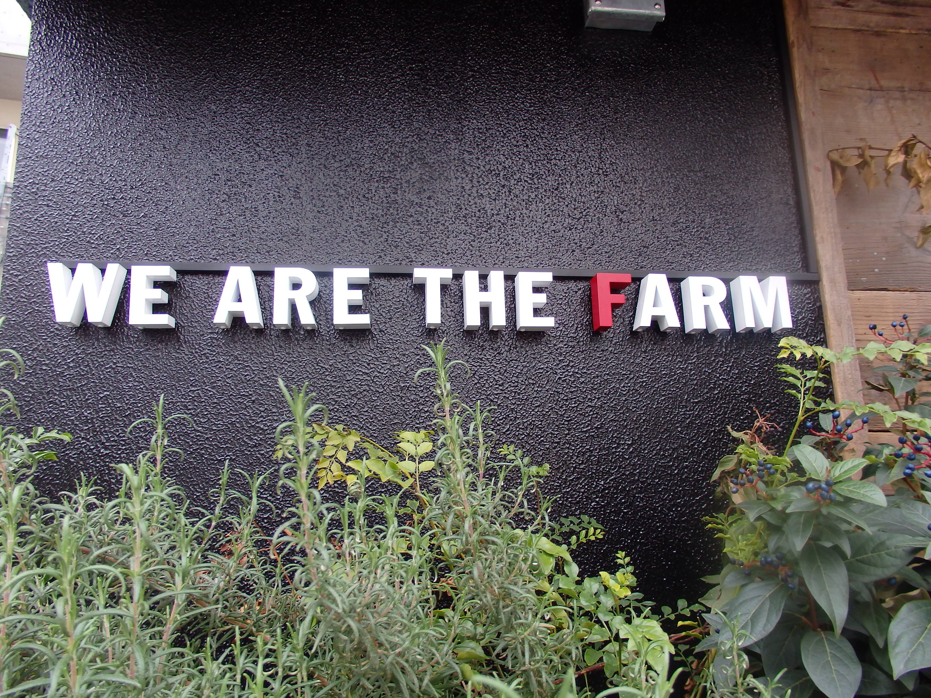 ケールが食べれて健康的に☆WE ARE THE FARM　麻布十番！！