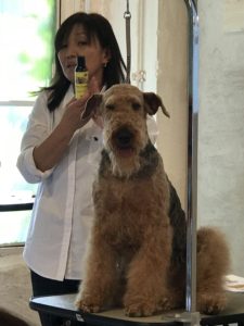 わんちゃん用アイテムのTakakura SS PET イベントへ